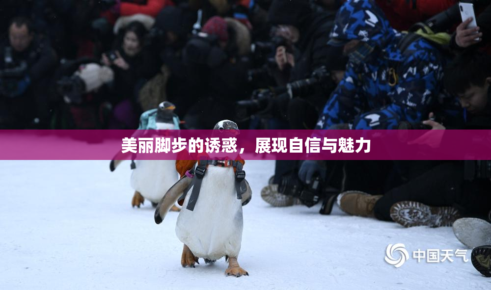 美丽脚步的诱惑，展现自信与魅力
