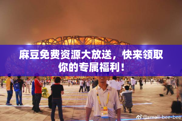 麻豆免费资源大放送，快来领取你的专属福利！