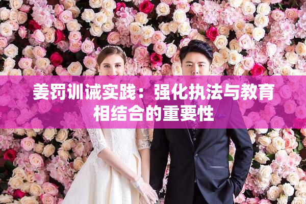 姜罚训诫实践：强化执法与教育相结合的重要性