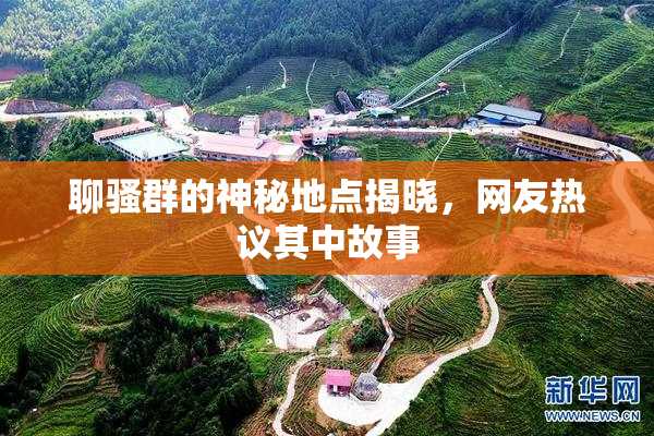 聊骚群的神秘地点揭晓，网友热议其中故事