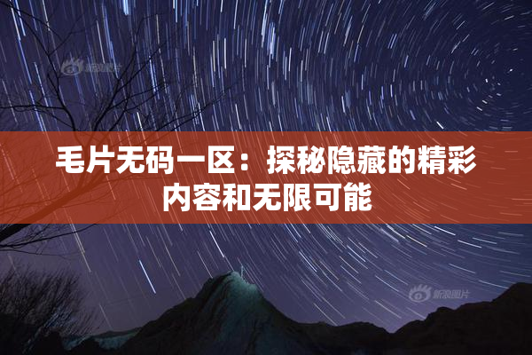 毛片无码一区：探秘隐藏的精彩内容和无限可能