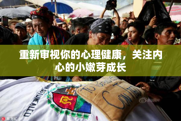 重新审视你的心理健康，关注内心的小嫩芽成长