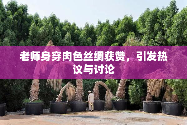 老师身穿肉色丝绸获赞，引发热议与讨论