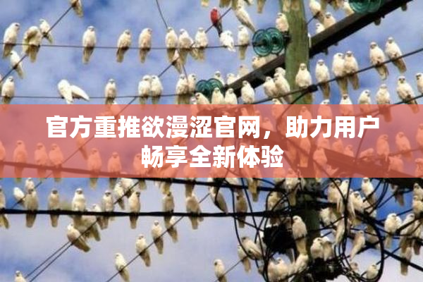 官方重推欲漫涩官网，助力用户畅享全新体验