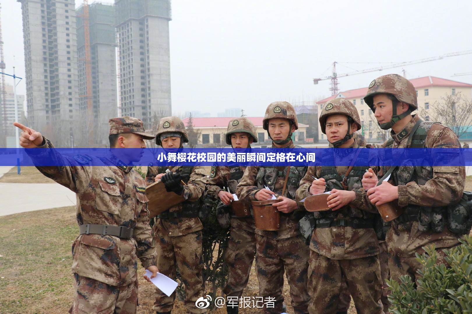 小舞樱花校园的美丽瞬间定格在心间
