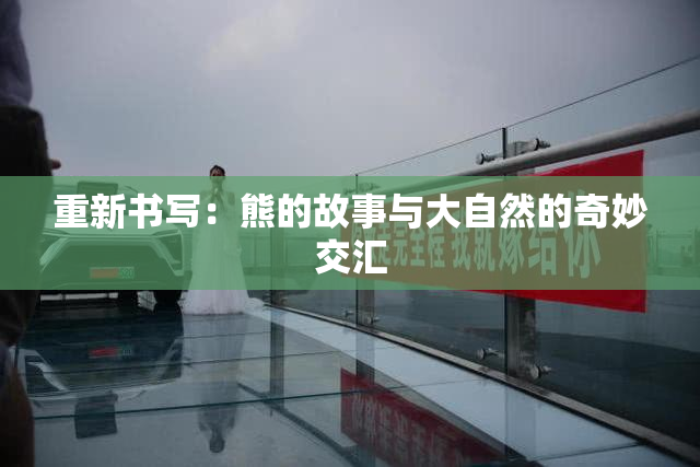 重新书写：熊的故事与大自然的奇妙交汇