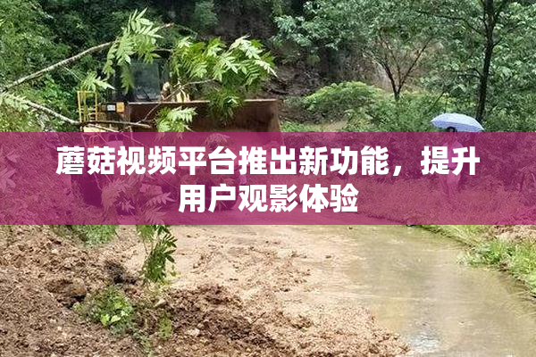 蘑菇视频平台推出新功能，提升用户观影体验