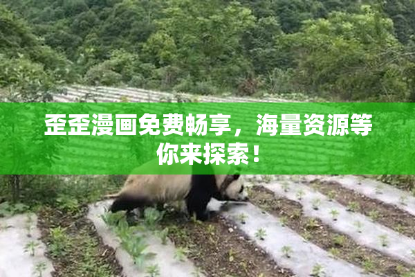 歪歪漫画免费畅享，海量资源等你来探索！