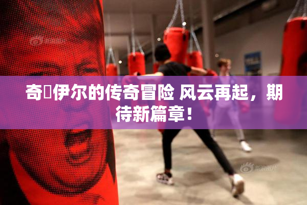 奇犽伊尔的传奇冒险 风云再起，期待新篇章！