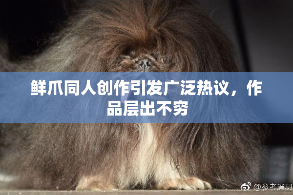 鲜爪同人创作引发广泛热议，作品层出不穷