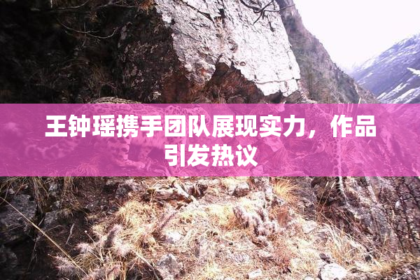 王钟瑶携手团队展现实力，作品引发热议