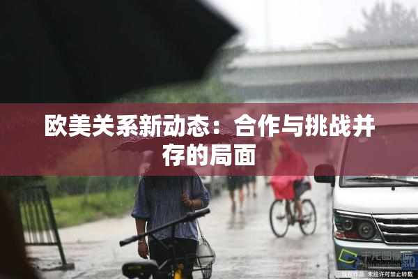 欧美关系新动态：合作与挑战并存的局面