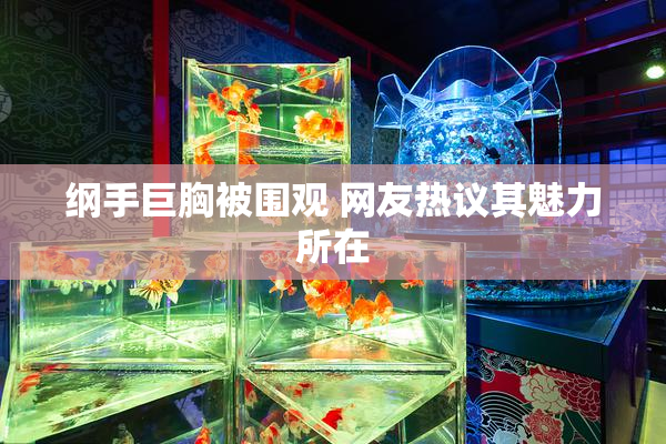 纲手巨胸被围观 网友热议其魅力所在
