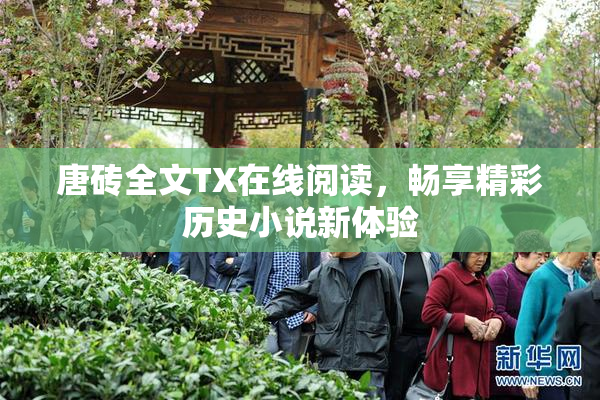 唐砖全文TX在线阅读，畅享精彩历史小说新体验