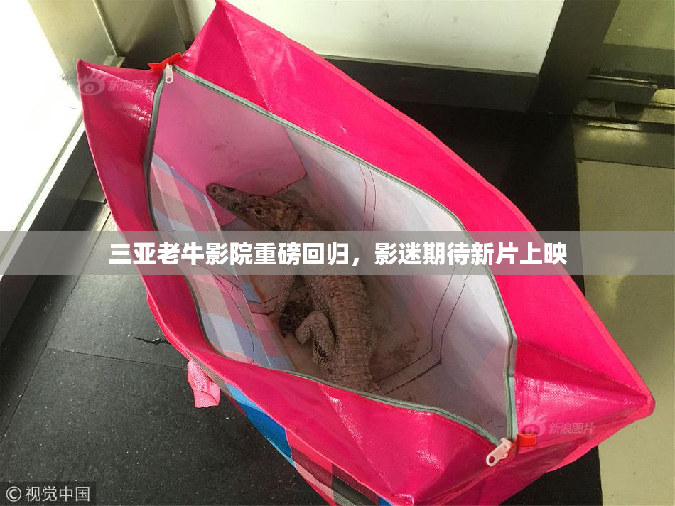 三亚老牛影院重磅回归，影迷期待新片上映