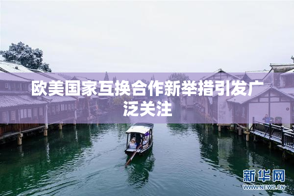 欧美国家互换合作新举措引发广泛关注