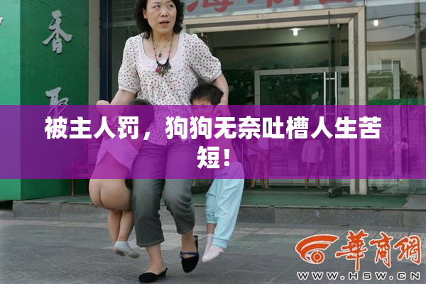 被主人罚，狗狗无奈吐槽人生苦短！