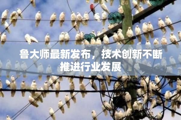 鲁大师最新发布，技术创新不断推进行业发展