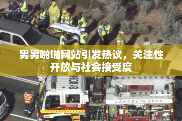 男男啪啪网站引发热议，关注性开放与社会接受度