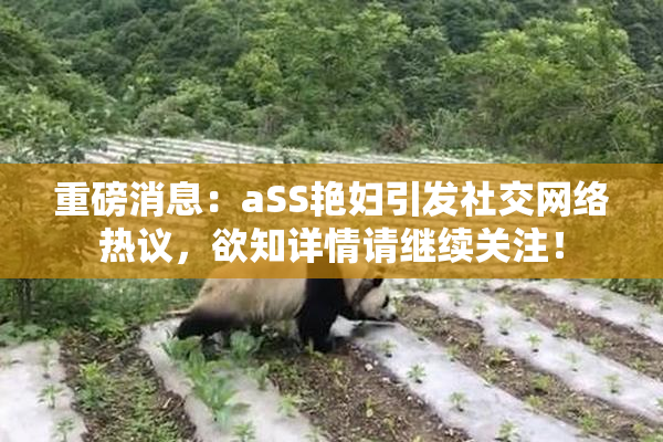 重磅消息：aSS艳妇引发社交网络热议，欲知详情请继续关注！