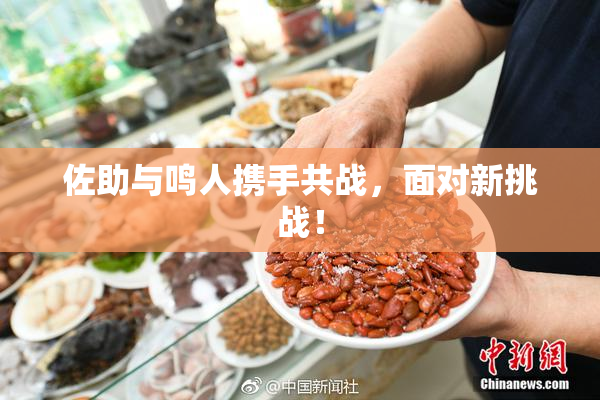 佐助与鸣人携手共战，面对新挑战！