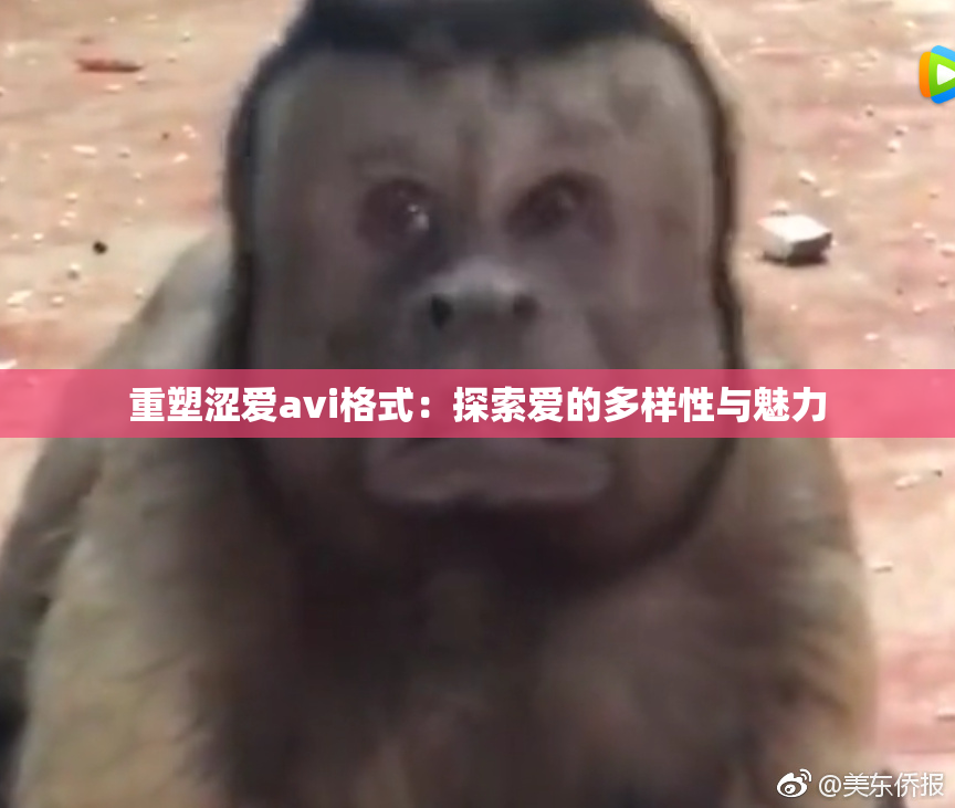重塑涩爱avi格式：探索爱的多样性与魅力