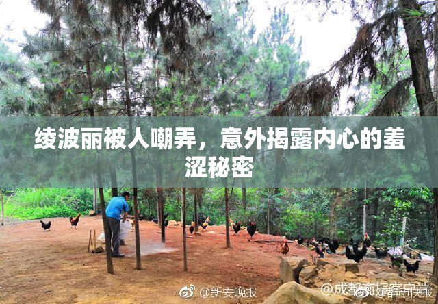 绫波丽被人嘲弄，意外揭露内心的羞涩秘密