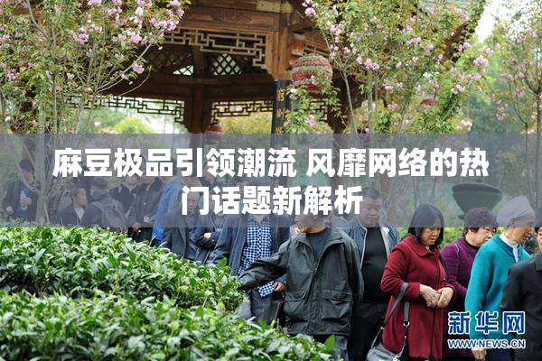 麻豆极品引领潮流 风靡网络的热门话题新解析