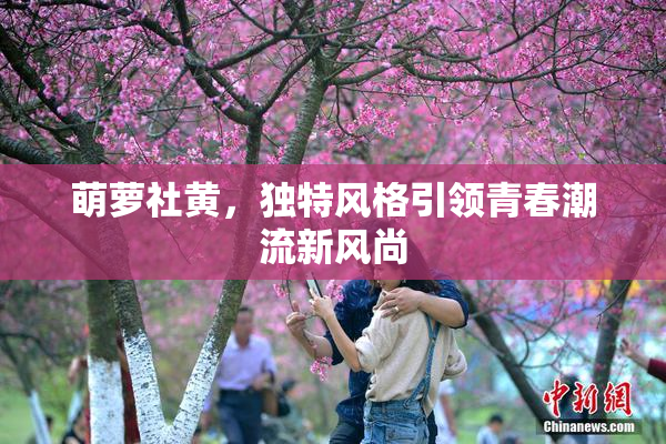 萌萝社黄，独特风格引领青春潮流新风尚