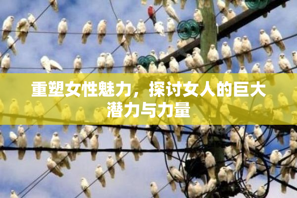 重塑女性魅力，探讨女人的巨大潜力与力量