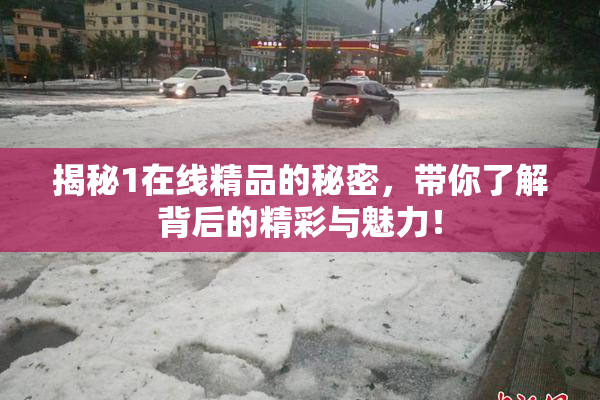 揭秘1在线精品的秘密，带你了解背后的精彩与魅力！