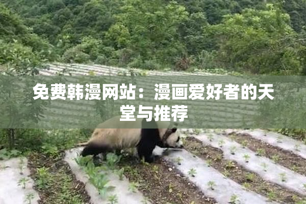 免费韩漫网站：漫画爱好者的天堂与推荐