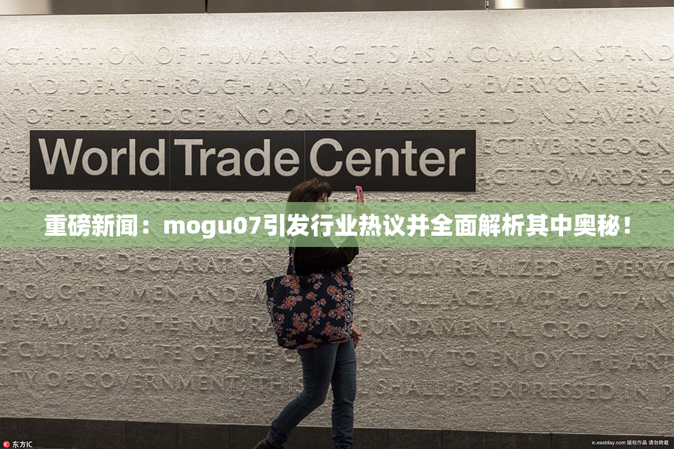 重磅新闻：mogu07引发行业热议并全面解析其中奥秘！