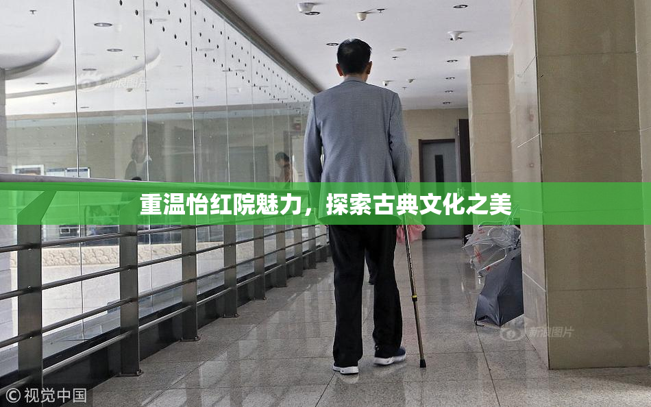重温怡红院魅力，探索古典文化之美