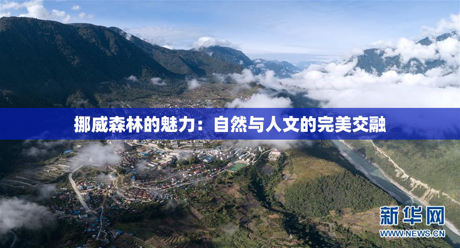 挪威森林的魅力：自然与人文的完美交融