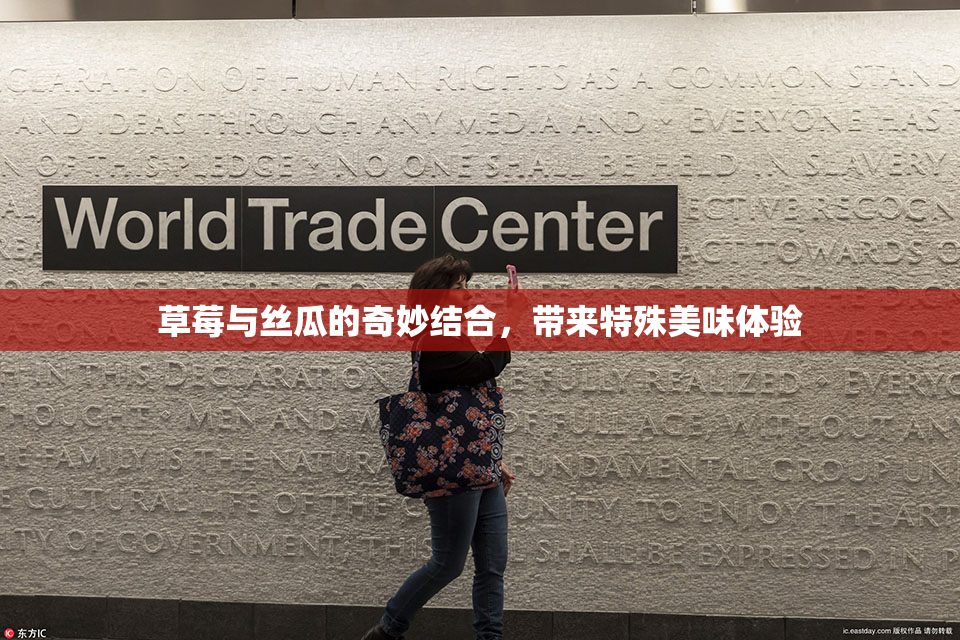 草莓与丝瓜的奇妙结合，带来特殊美味体验