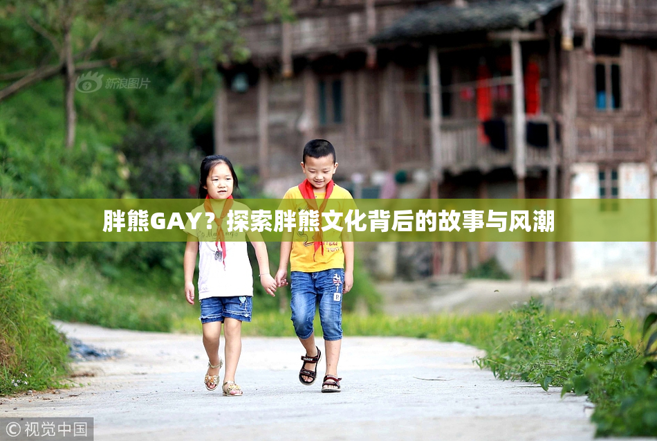 胖熊GAY？探索胖熊文化背后的故事与风潮