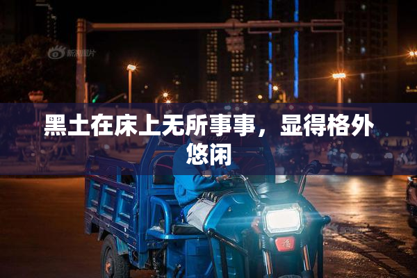 黑土在床上无所事事，显得格外悠闲