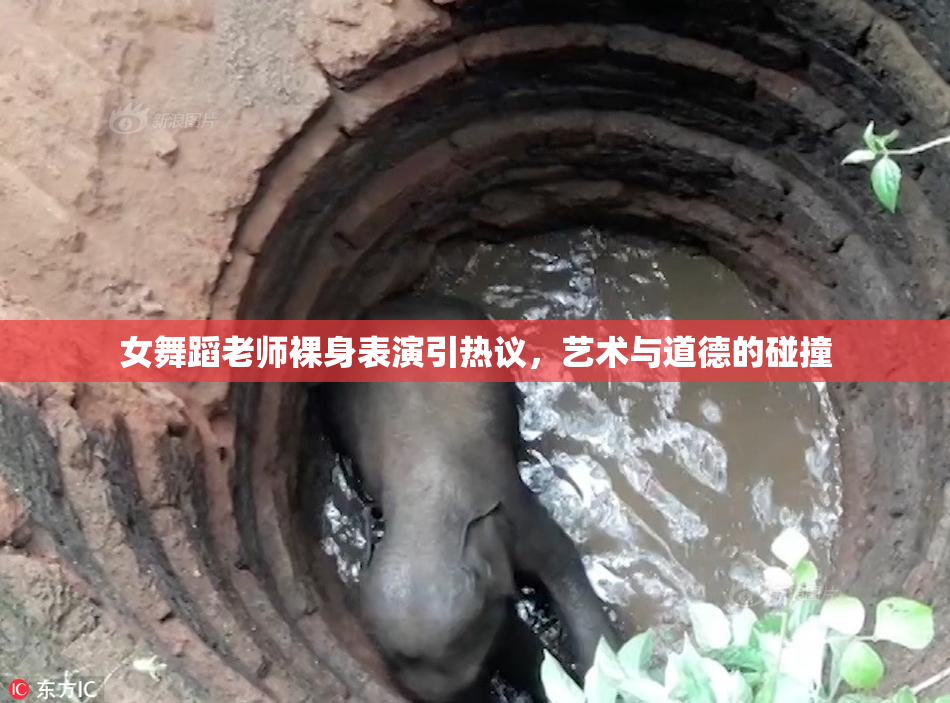 女舞蹈老师裸身表演引热议，艺术与道德的碰撞