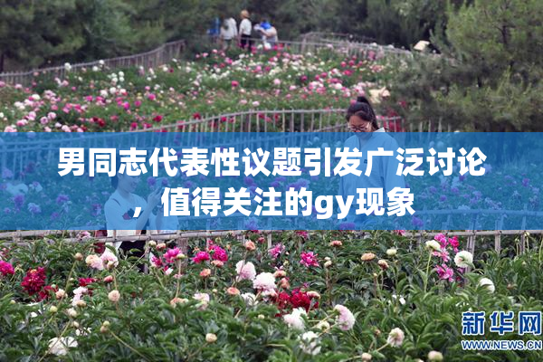 男同志代表性议题引发广泛讨论，值得关注的gy现象