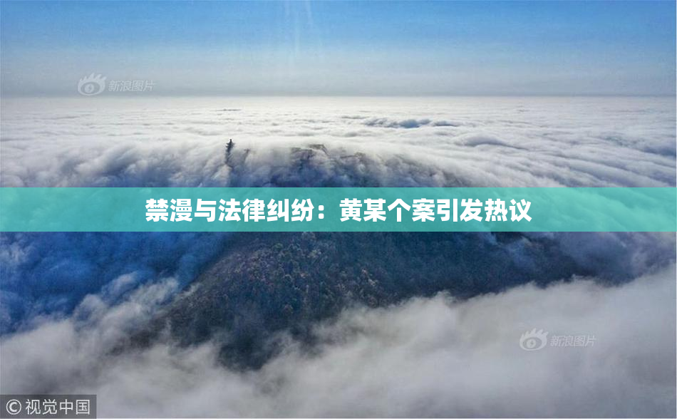 禁漫与法律纠纷：黄某个案引发热议