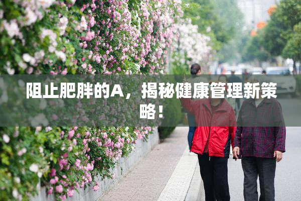 阻止肥胖的A，揭秘健康管理新策略！