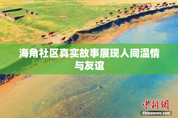 海角社区真实故事展现人间温情与友谊