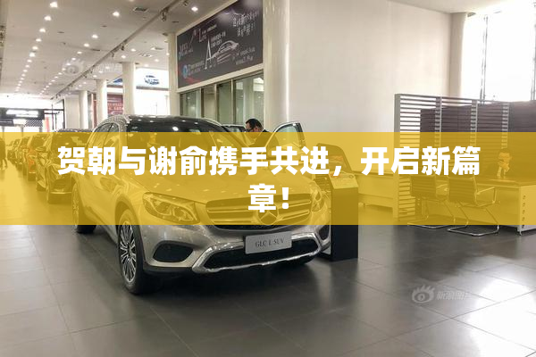 贺朝与谢俞携手共进，开启新篇章！