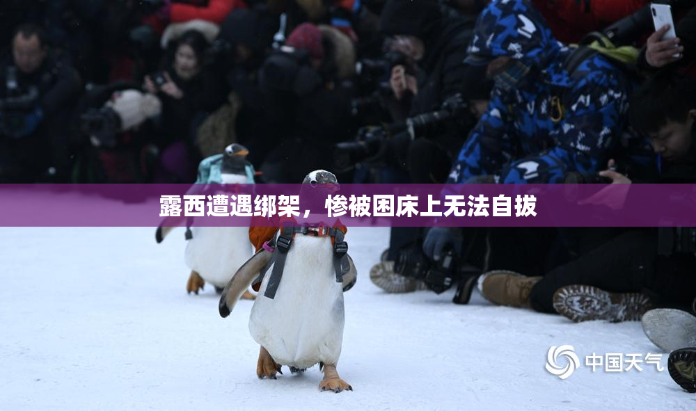 露西遭遇绑架，惨被困床上无法自拔