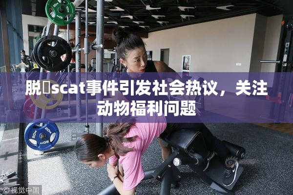 脱糞scat事件引发社会热议，关注动物福利问题