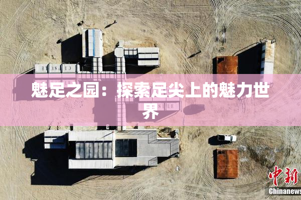 魅足之园：探索足尖上的魅力世界