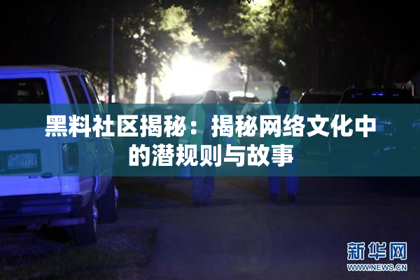 黑料社区揭秘：揭秘网络文化中的潜规则与故事
