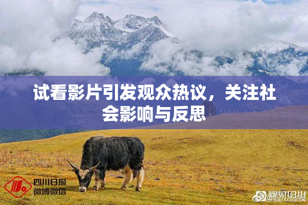 试看影片引发观众热议，关注社会影响与反思