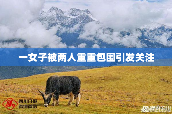 一女子被两人重重包围引发关注